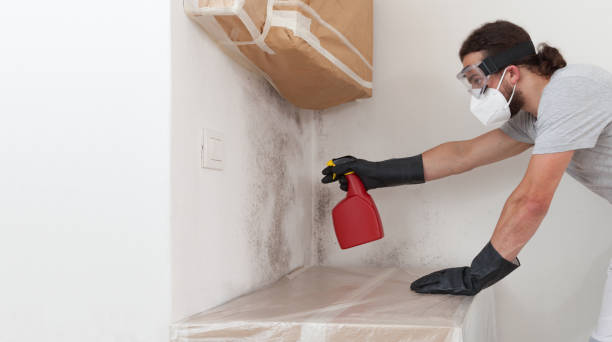 Professional Mold Removal technician working in Bloxom, VA