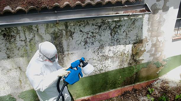 Top rated local Mold Removal specialists in Bloxom, VA